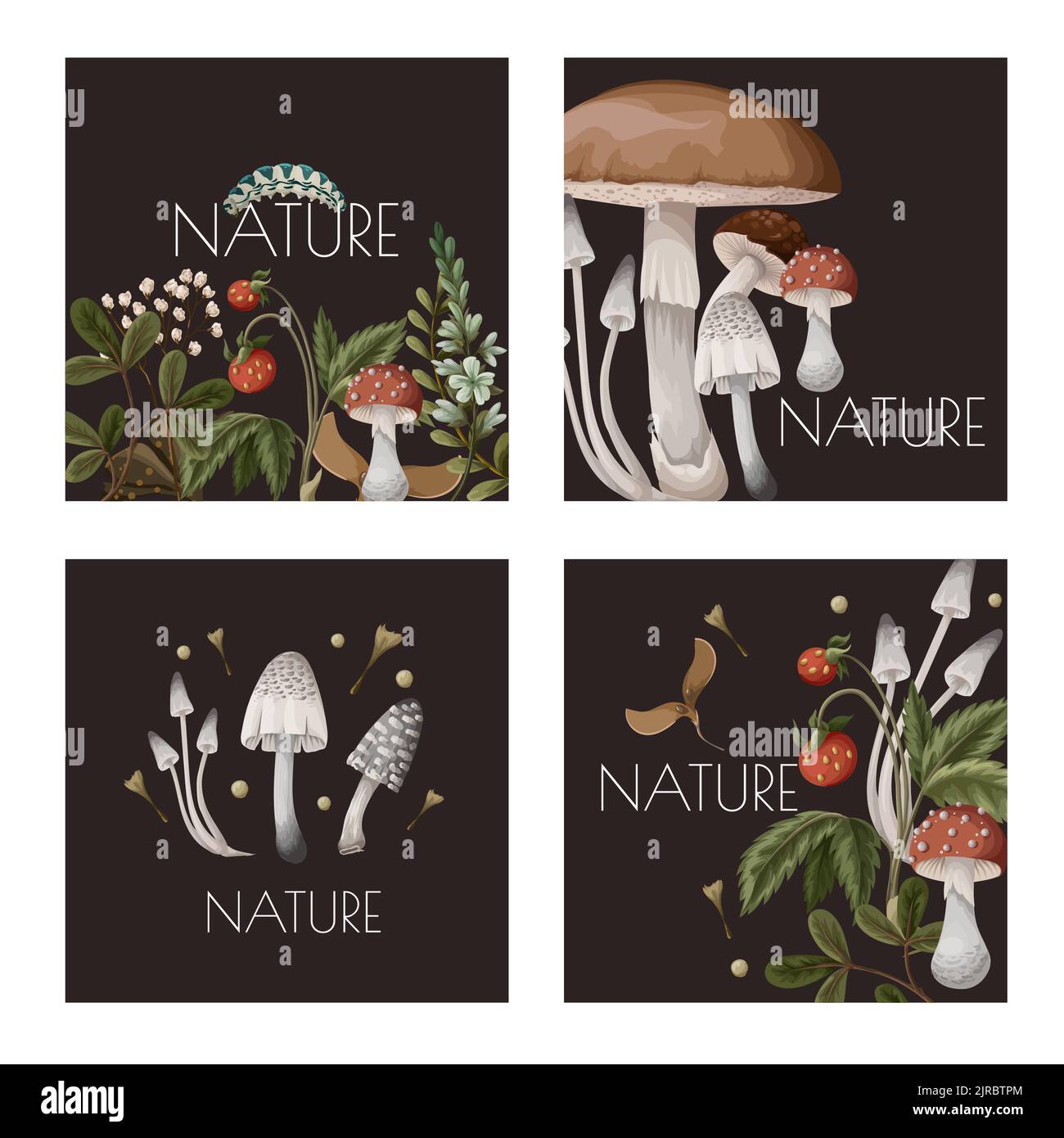 Cartes d'automne avec champignons, baies et insectes. Imprimé tendance naturel. Illustration de Vecteur