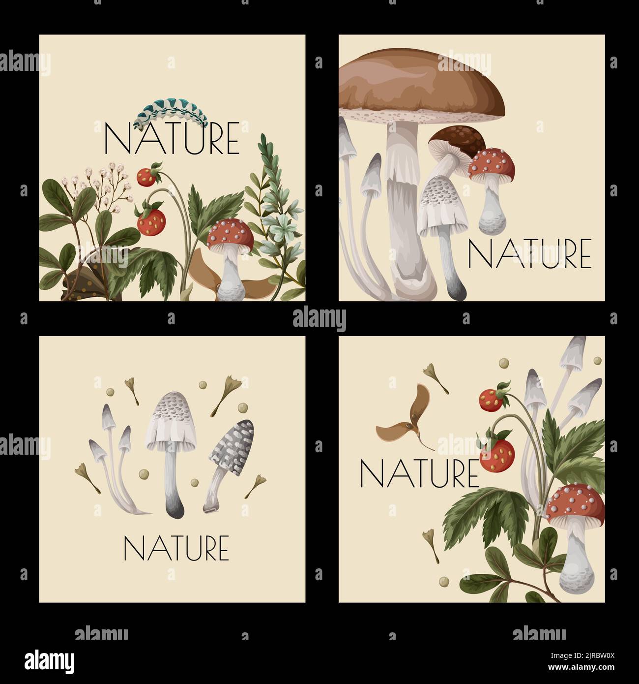 Cartes d'automne avec champignons, baies et insectes. Imprimé tendance naturel. Illustration de Vecteur