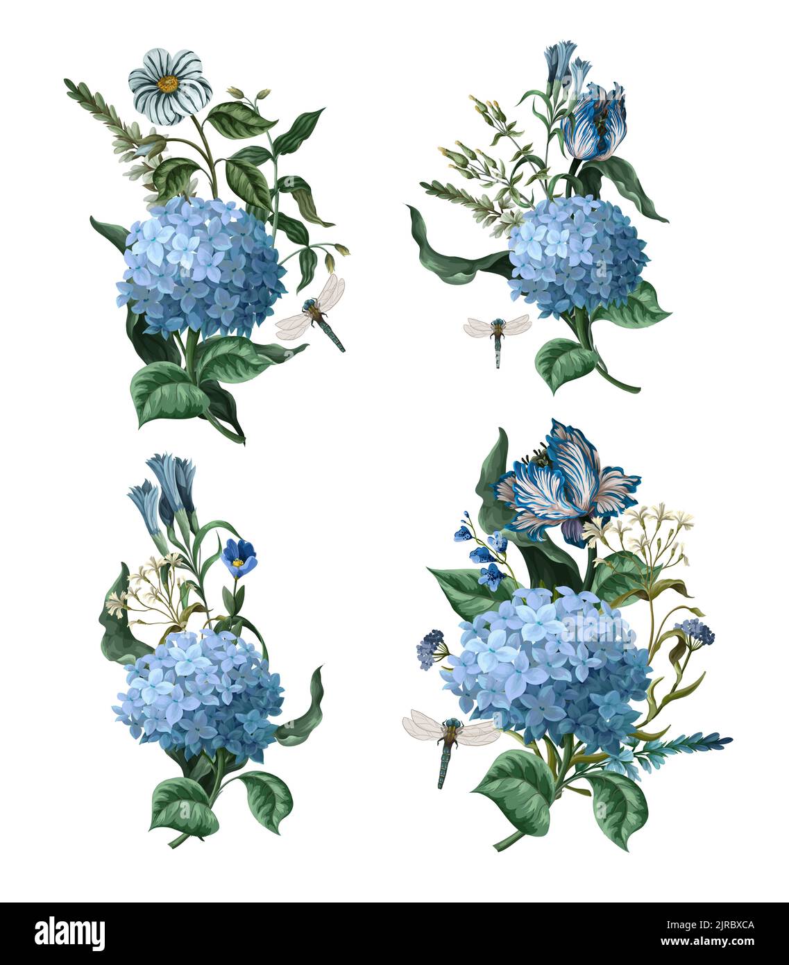 Bouquets avec des hortensias bleus et d'autres fleurs isolées. Vecteur. Illustration de Vecteur