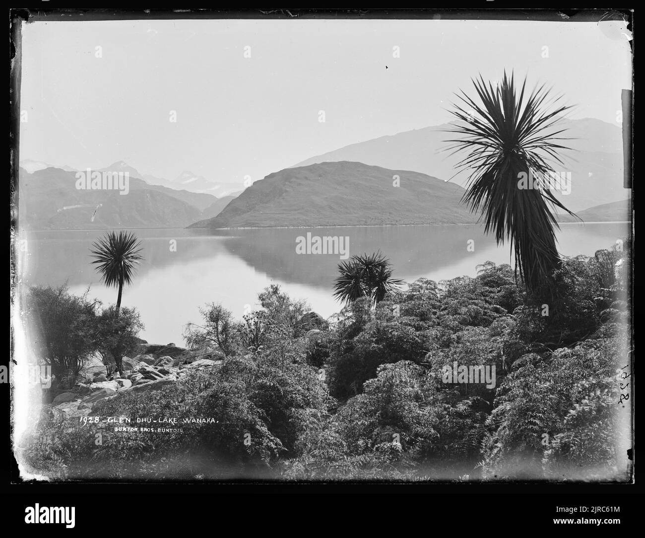 Glendhu, Lac Wanaka, Nouvelle-Zélande, par Burton Brothers. Banque D'Images