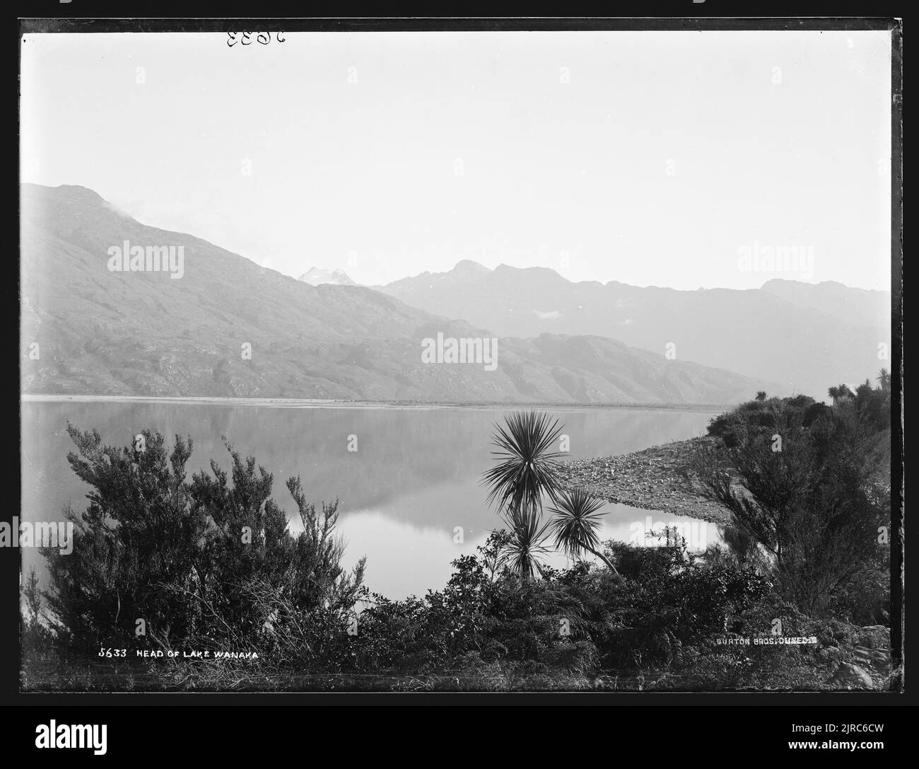 Chef du lac Wanaka, Nouvelle-Zélande, par Burton Brothers. Banque D'Images