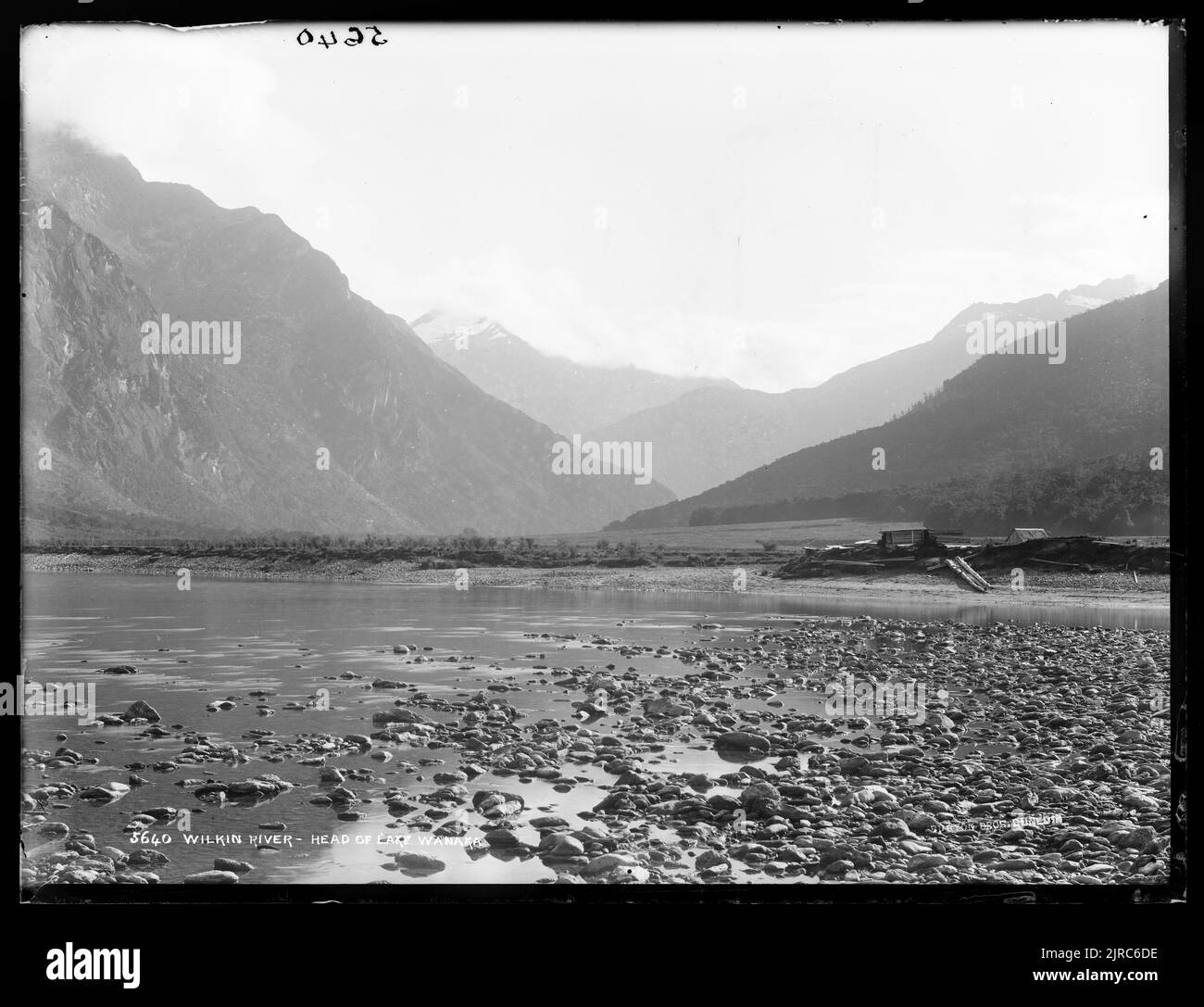 Wilkin River, chef du lac Wanaka, Nouvelle-Zélande, par Burton Brothers. Banque D'Images