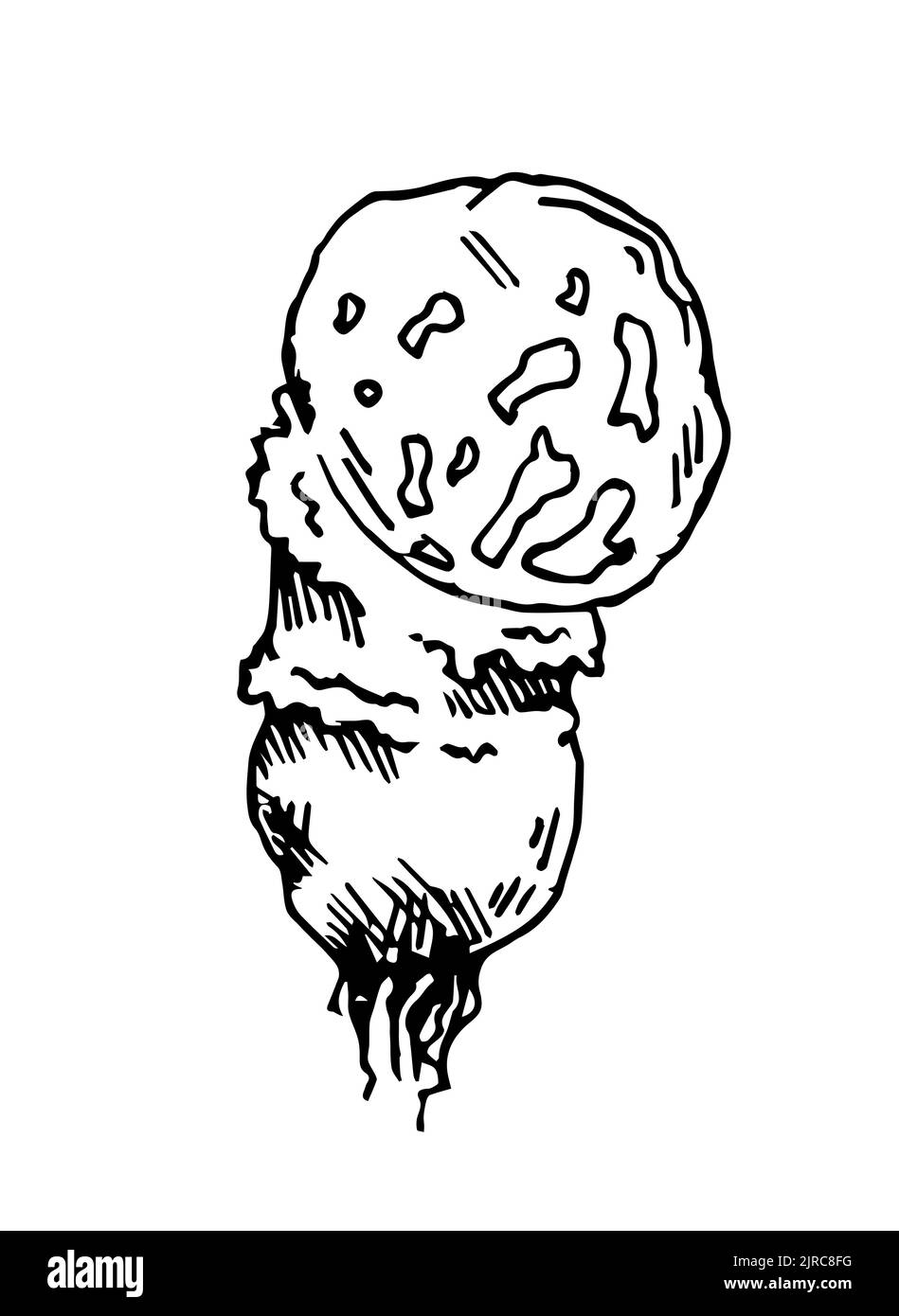 Champignon à bosse. Champignons comestibles et non comestibles de la forêt sauvage. Esquisse dessinée à la main. Dessin avec de l'encre. Isolé sur fond blanc Illustration de Vecteur