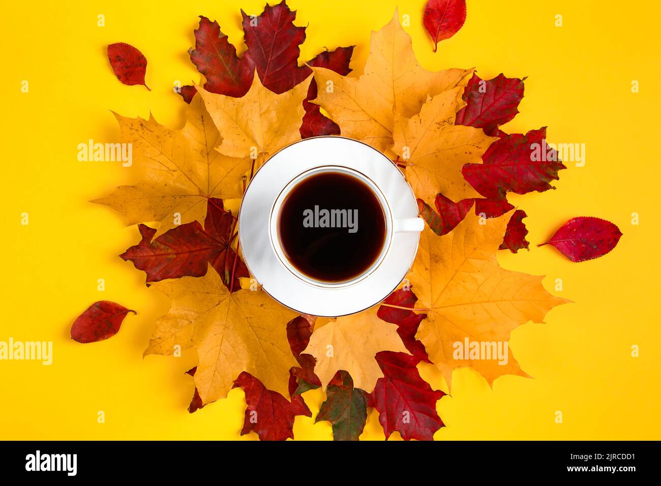 Tasse de café et feuilles mortes sur fond jaune vif. Concept Hello Autumn. Boisson chaude par temps froid. Banque D'Images
