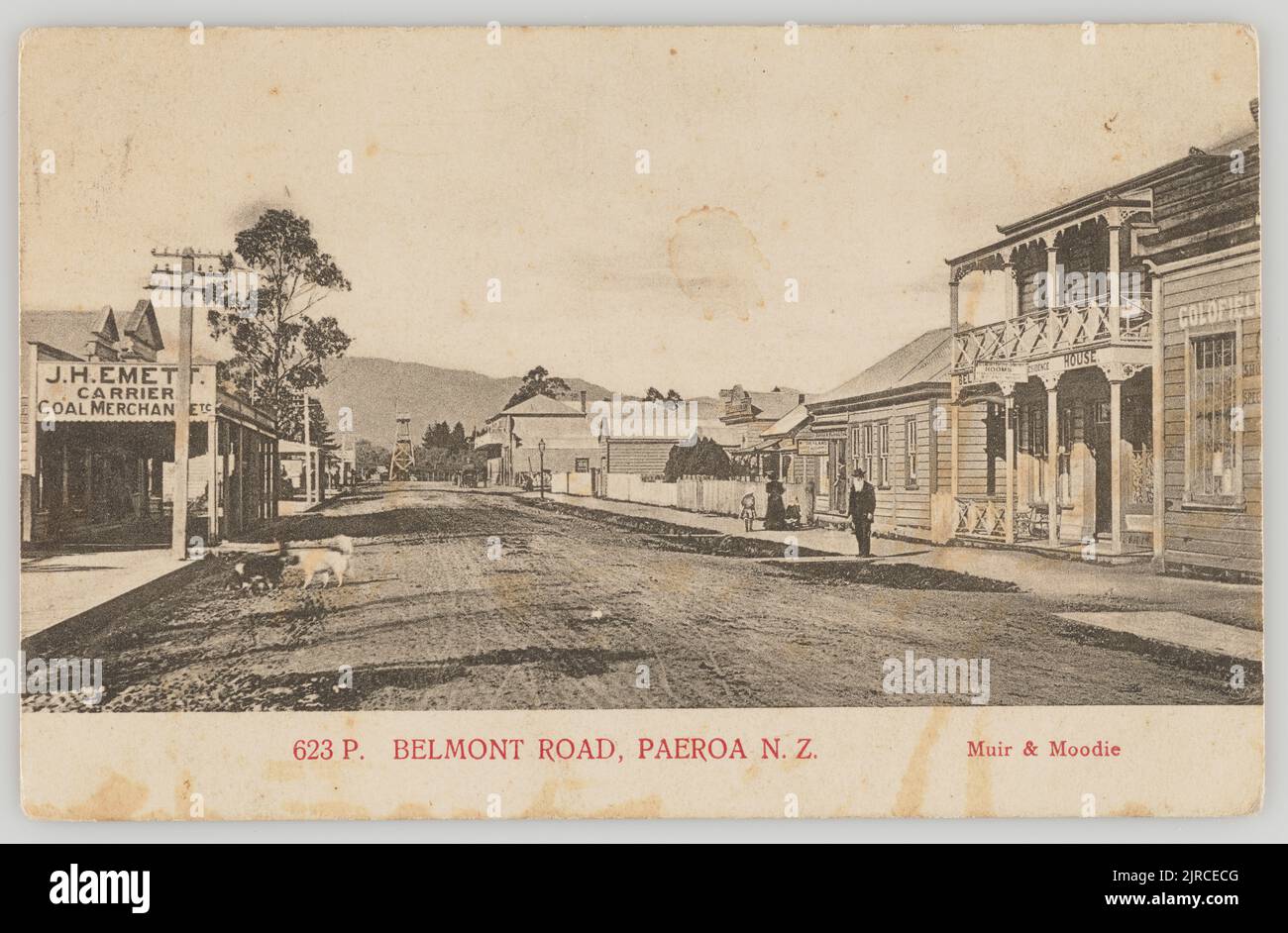 Belmont Road, Paeroa, Nouvelle-Zélande, 1905, Paeroa, Par Muir & Moodie. Banque D'Images