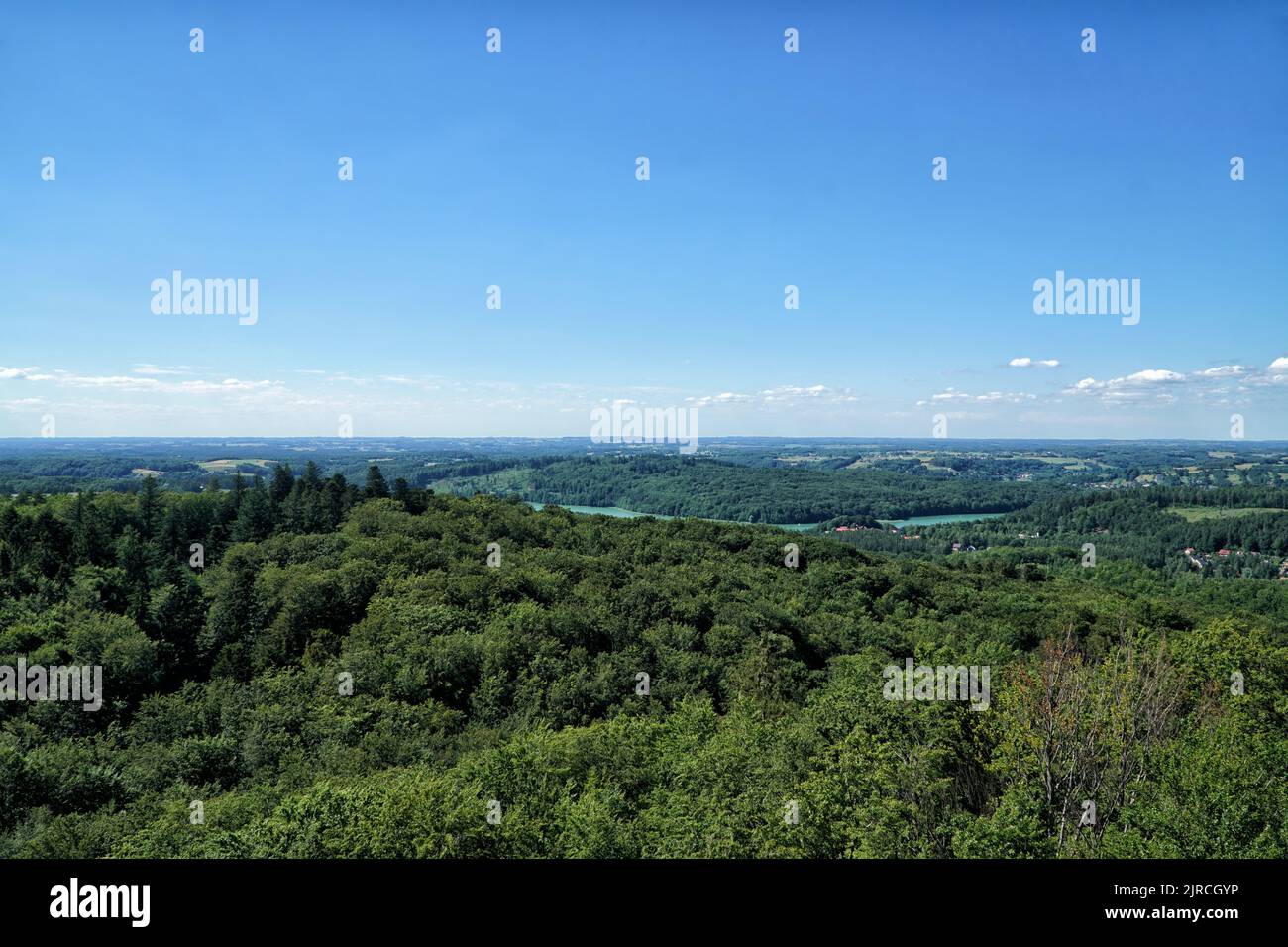 Vue aérienne sur le paysage du Kashubia. Vue sur le lac Ostrzyckie depuis la tour d'observation située au sommet de la colline Wiezyca en été. cov. Collines Banque D'Images