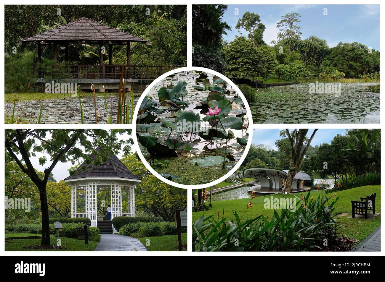 Le magnifique jardin botanique de Singapour Banque D'Images
