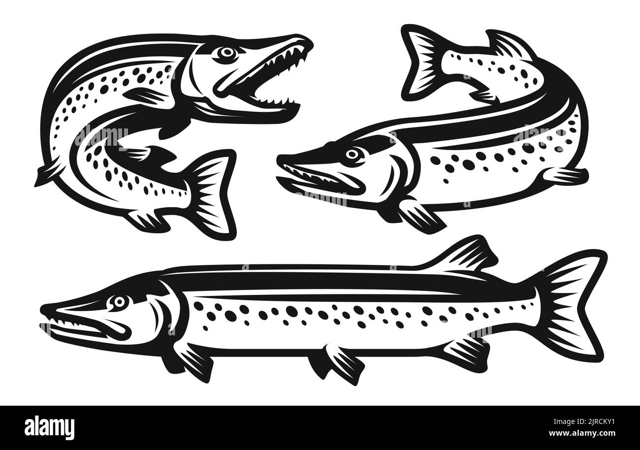 Ensemble de poisson à brochet. Symbole ou logo pêche, fruits de mer. Illustration vectorielle de style monochrome isolée sur fond blanc Illustration de Vecteur
