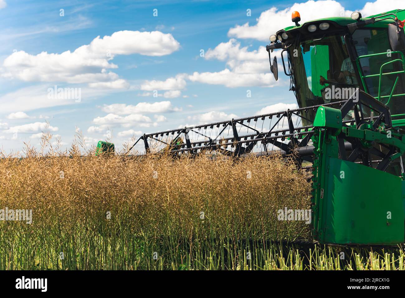 Industrie alimentaire et agriculture. Opérateur de moissonneuse-batteuse travaillant sur un champ de colza pendant la journée. Ciel bleu en arrière-plan. Rabatteur et récolte au premier plan. Photo de haute qualité Banque D'Images