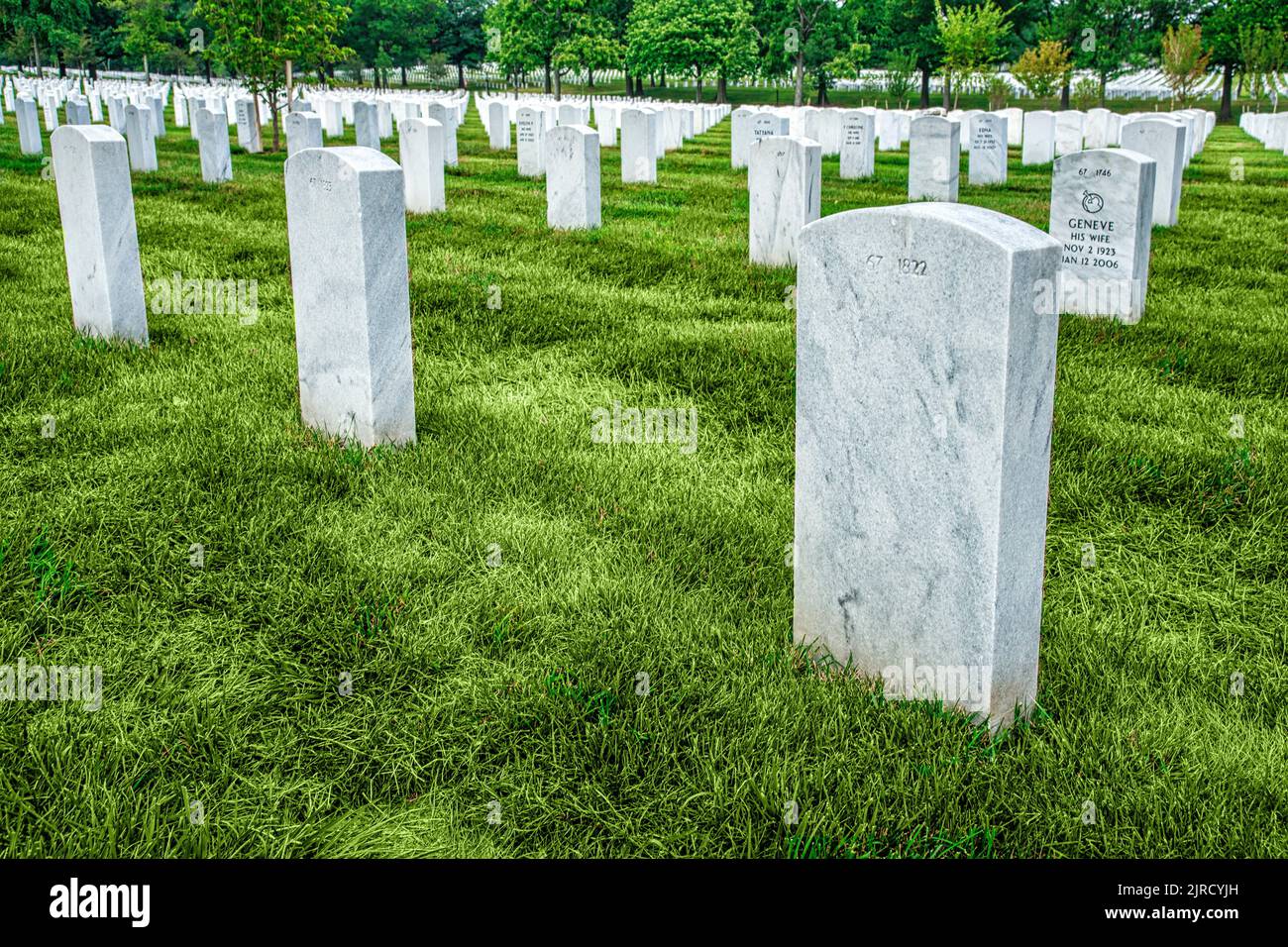 Rangées uniformes de tombes en pierre à tête en marbre blanc au cimetière national d'Arlington, en Virginie. Banque D'Images