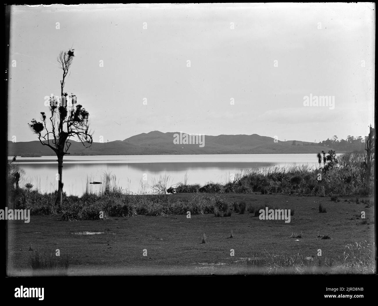 Lac Horowhenua et colline de dune de Moutere, à 288 pieds de la rive est près de l'extrémité ouest de la rue Queen, Levin, 08 juin 1926, Île du Nord, par Leslie Adkin. Banque D'Images