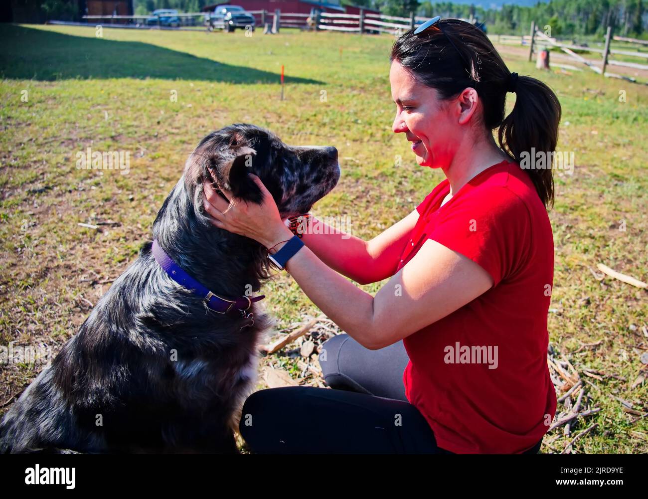 Femme adulte donnant un câlin à un chien mignon Banque D'Images
