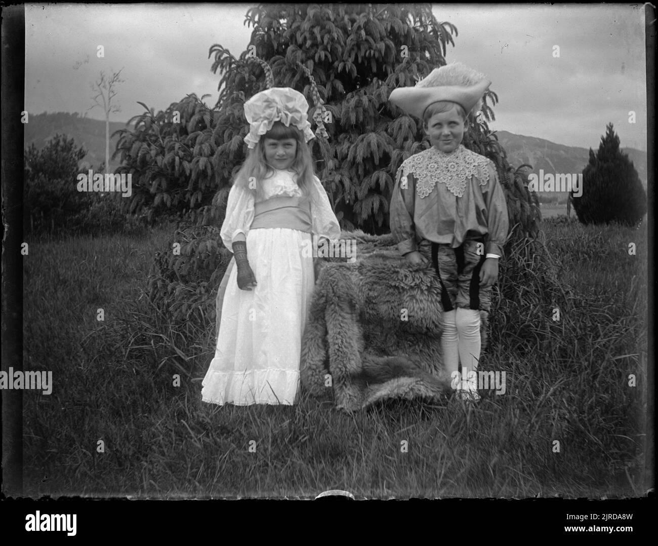 'Cherry RIPE' et 'page Boy', 1907 novembre 1907, Levin, par Leslie Adkin. Don de la famille G. L. Adkin, 1964. Banque D'Images