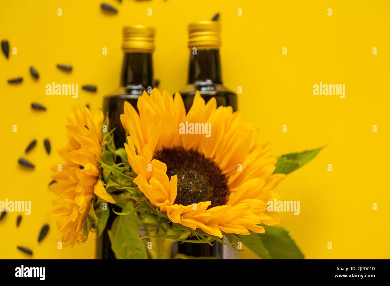 Huile de tournesol. Bouteilles d'huile, graines de tournesol noires éparpillées et tournesols fleurissant sur fond jaune vif.maquette d'huile de tournesol. Ferme naturelle Banque D'Images