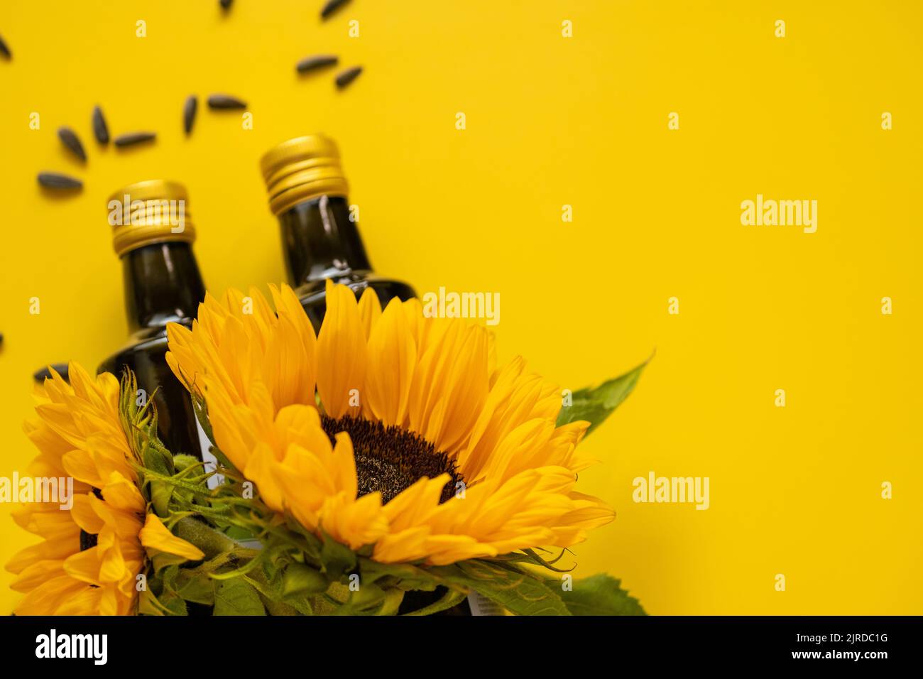 Huile de tournesol. Bouteilles d'huile, graines de tournesol noires éparpillées et tournesols fleurissant sur un fond jaune vif.maquette d'huile de tournesol. Organique Banque D'Images