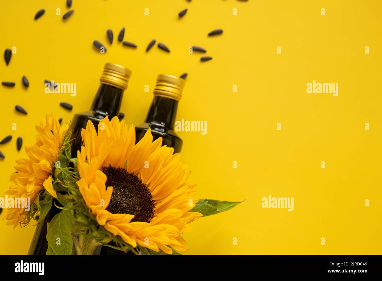 Huile de tournesol. Bouteilles d'huile, graines de tournesol noires éparpillées et tournesols fleurissant sur un fond jaune vif.maquette d'huile de tournesol. Organique Banque D'Images