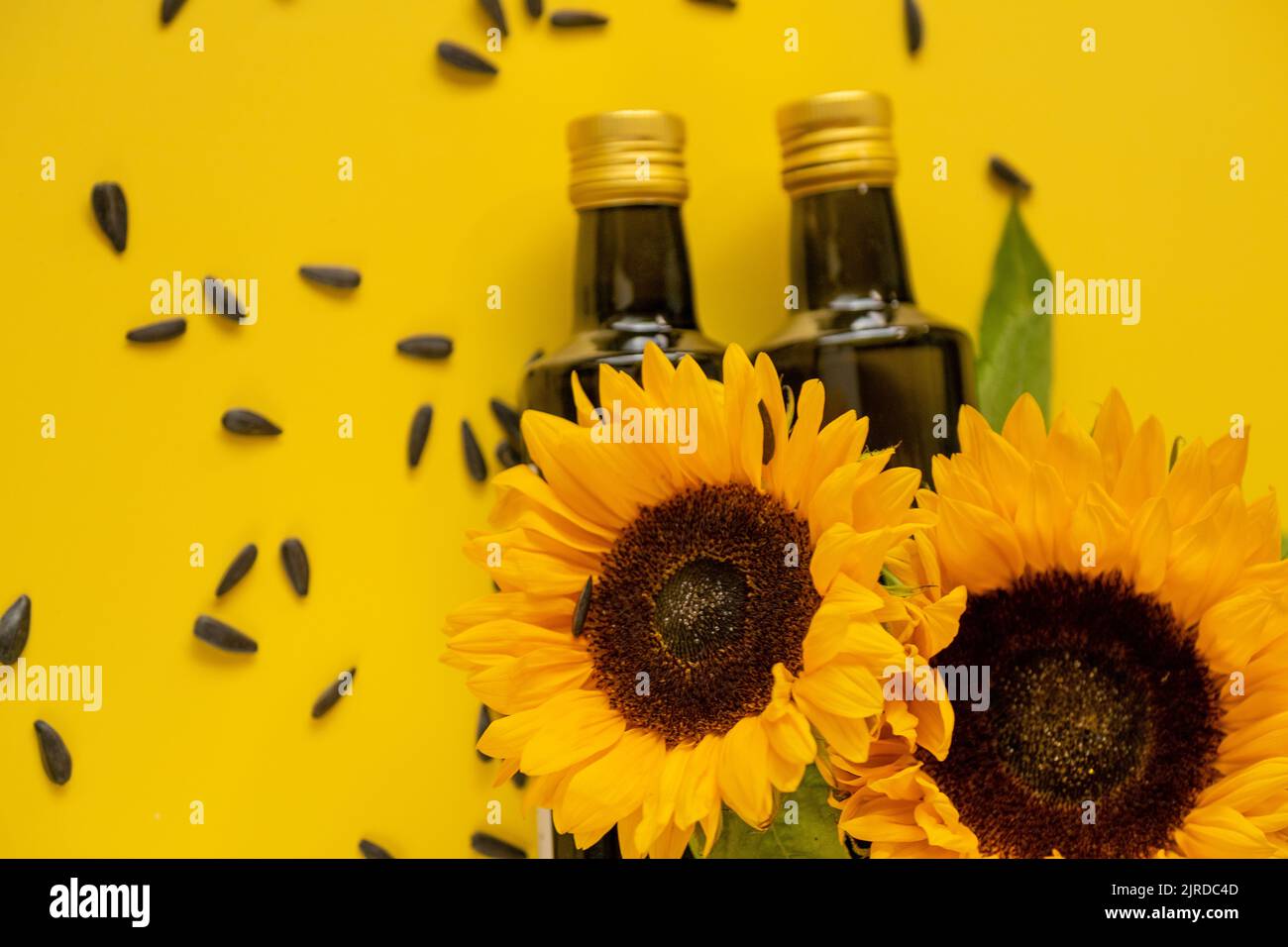 Des bouteilles d'huile, des graines de tournesol noires éparpillées et des tournesols sur une huile de tournesol de ferme naturelle background.Organic jaune vif. Huiles comestibles. Banque D'Images
