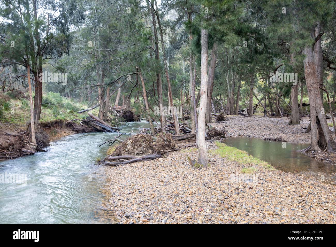 Rivière Abercrombie dans le parc national de la rivière Abercrombie, Nouvelle-Galles du Sud, Australie par une journée hivernale Banque D'Images