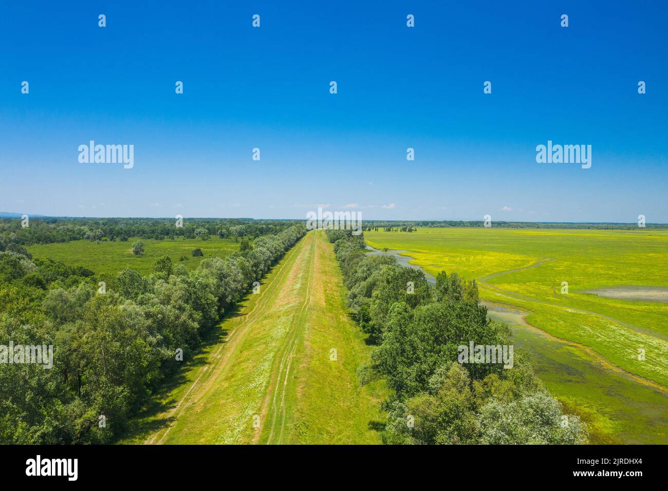 Paysage de campagne dans parc naturel Lonjsko polje, Croatie, vue aérienne Banque D'Images
