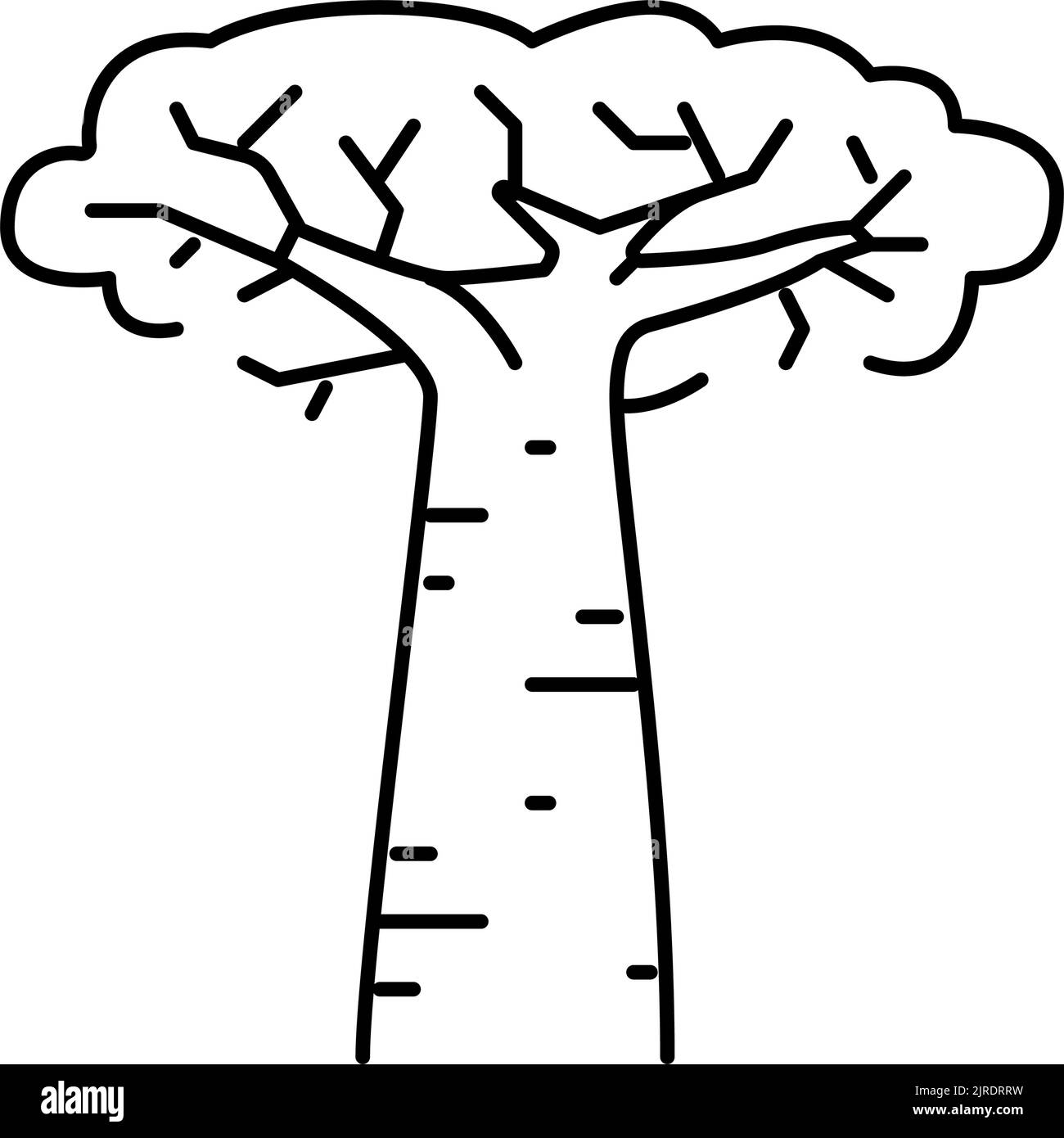 illustration vectorielle de l'icône de la ligne d'arbre de baobab africa Illustration de Vecteur