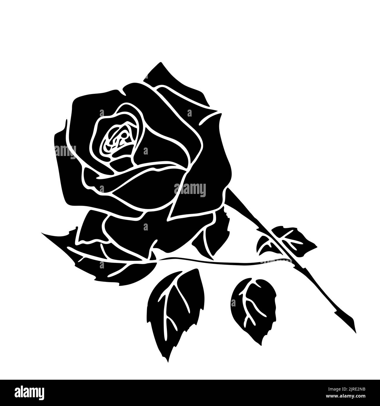 silhouette noire d'une rose gros plan sur fond blanc, silhouette d'une fleur, dessin graphique, design Banque D'Images