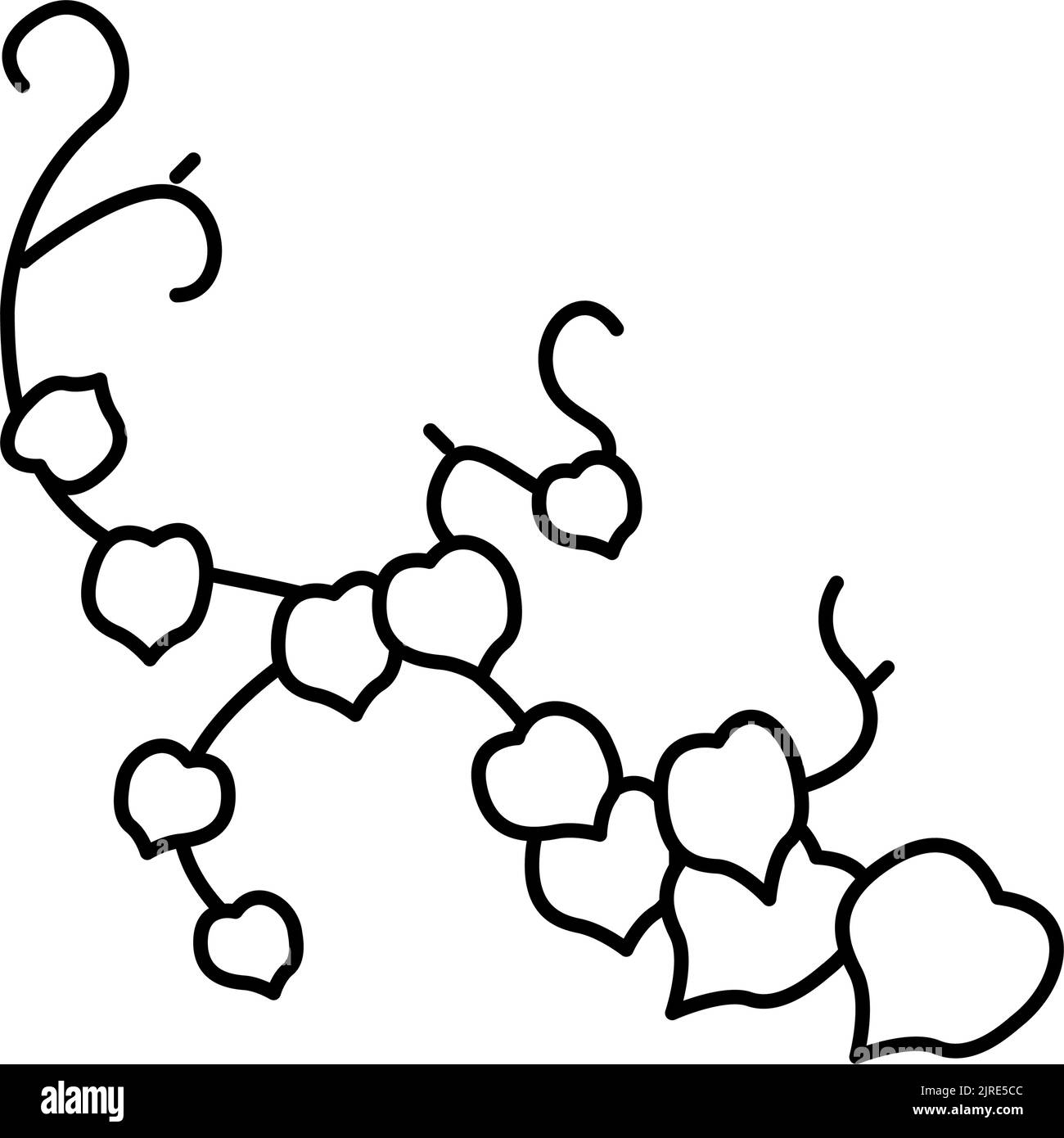 illustration vectorielle d'icône de ligne de plante liana Illustration de Vecteur