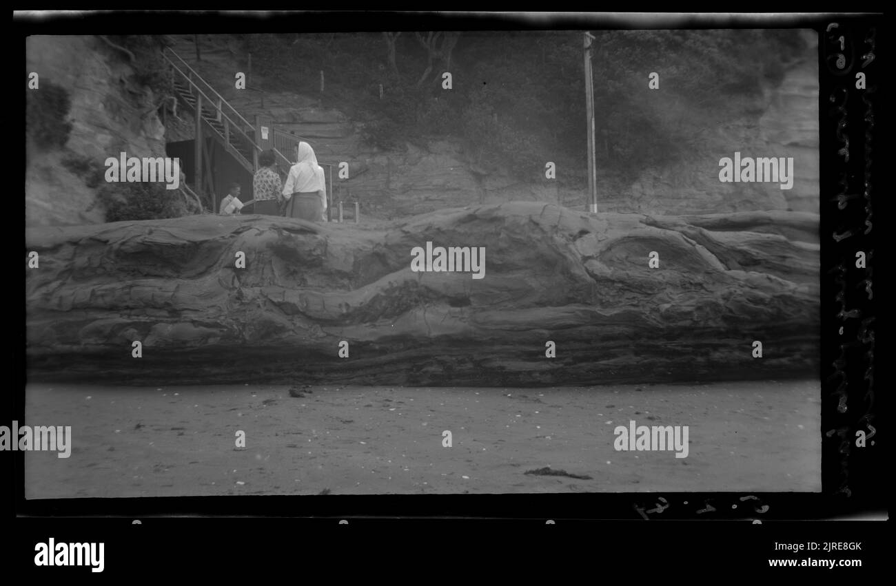 Gros plan du groupe Drag replis à la plage de l'école Grammar, 05 février 1949, par Leslie Adkin. Banque D'Images