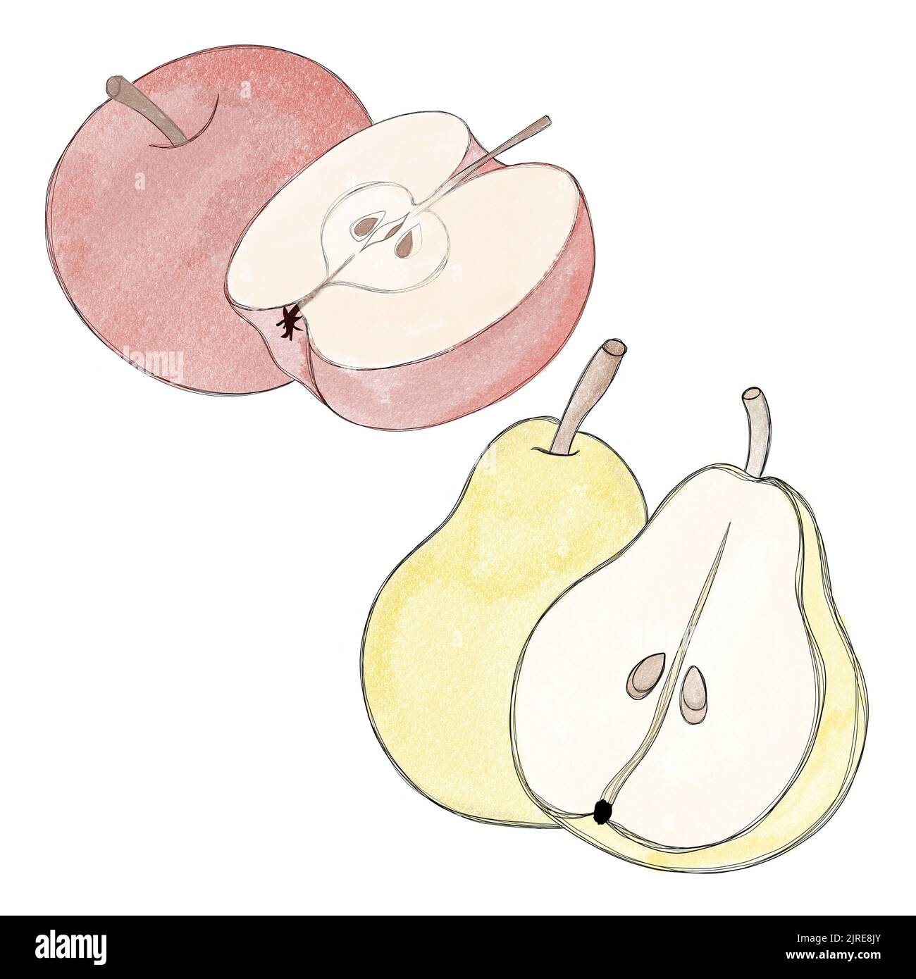 ensemble de fruits aquarelle à main levée - pomme rouge juteuse et poire mûre Banque D'Images