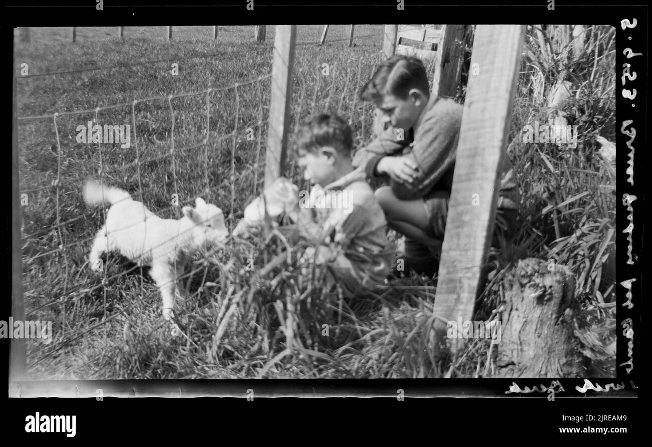 Bruce nourrit de l'agneau, avec Derek, 05 septembre 1953, Levin, par Leslie Adkin. Banque D'Images