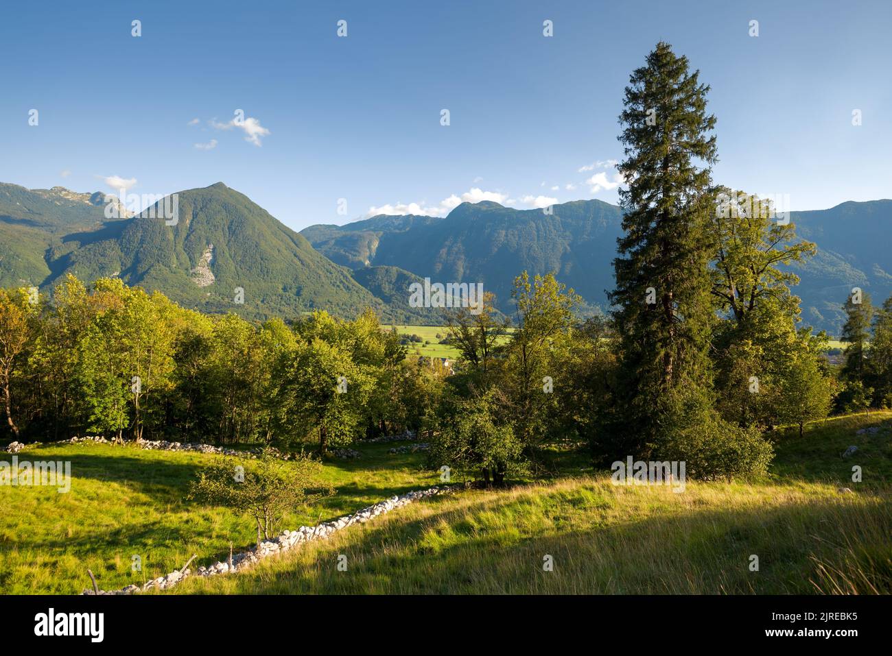 Paysage alpin en Slovénie Banque D'Images