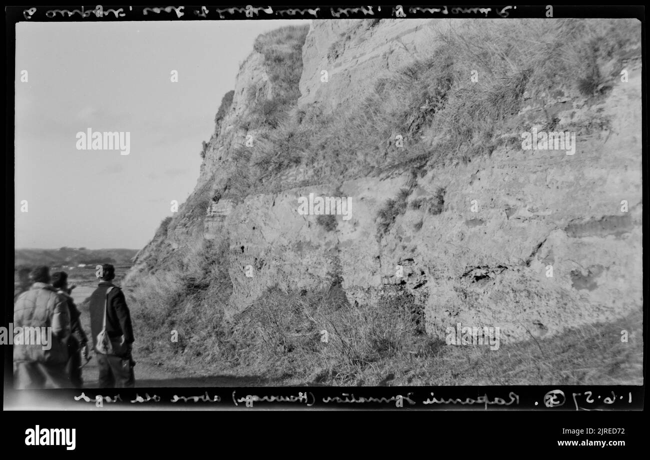 Formation de Rapanui, au-dessus de Old Road, 01 juin 1957, par Leslie Adkin. Banque D'Images
