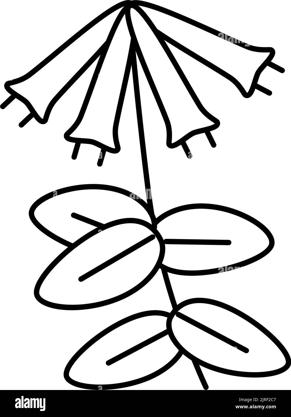 illustration vectorielle de l'icône de la ligne de liana de honeysuckle Illustration de Vecteur