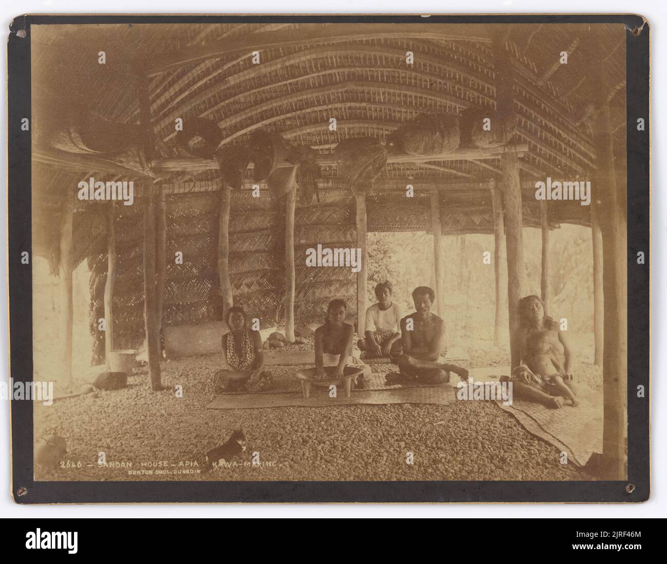 Maison de Samoan, Apia. Kava Making, 1884, Dunedin, par Burton Brothers, Alfred Burton. Banque D'Images