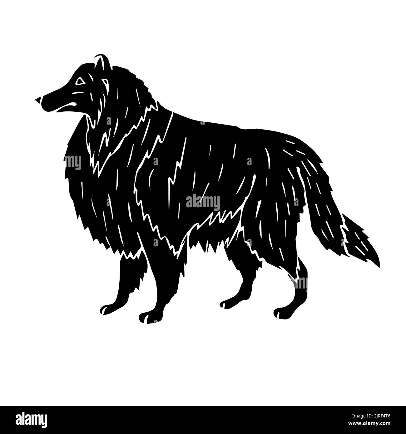 Dessin d'un chien de collie noir à dessin manuel vectoriel isolé sur fond blanc Illustration de Vecteur