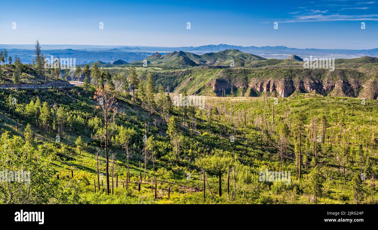 Cañon de los Frijoles, massif du Saint Peters Dome derrière, montagnes Jemez, vue de la route NM-4 près de Los Alamos, Nouveau-Mexique, Etats-Unis Banque D'Images