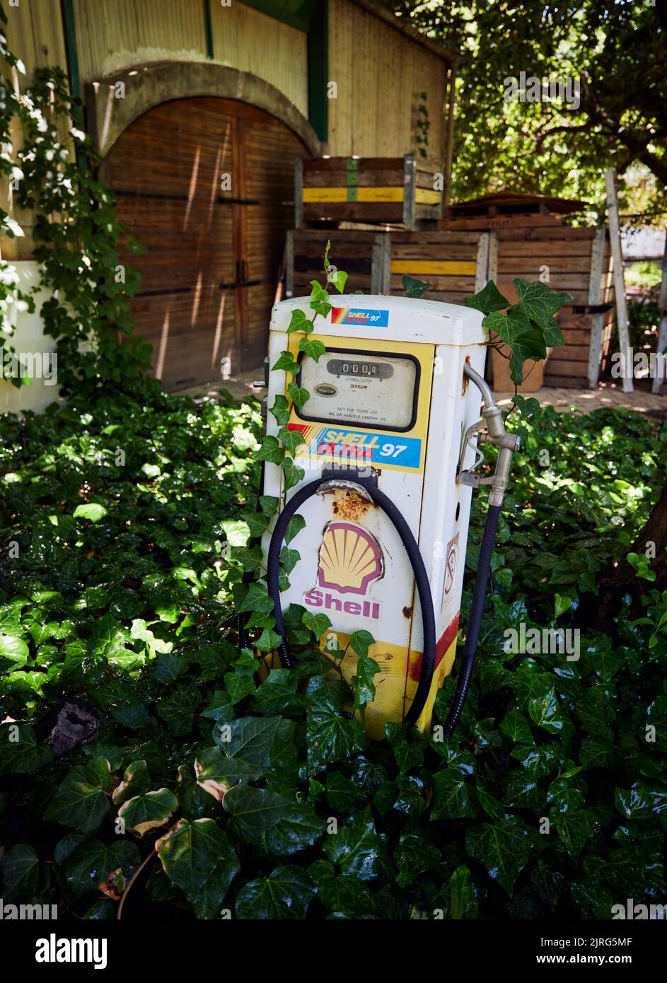 Vue verticale d'un distributeur de carburant Shell dans les feuilles vertes Banque D'Images