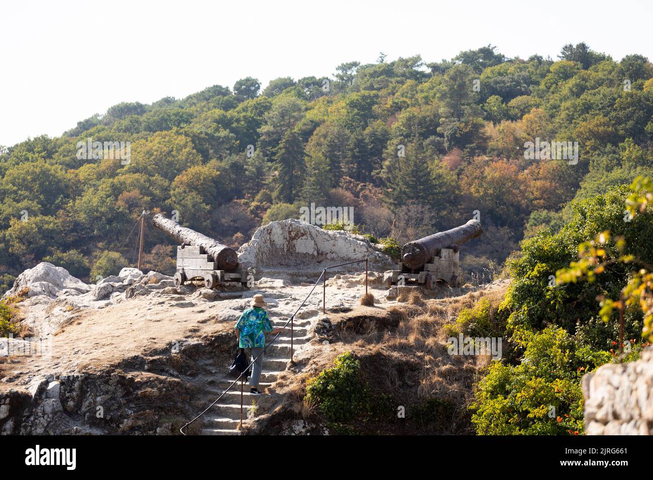 Canons historiques à la Roche Bernard, Bretagne France Banque D'Images