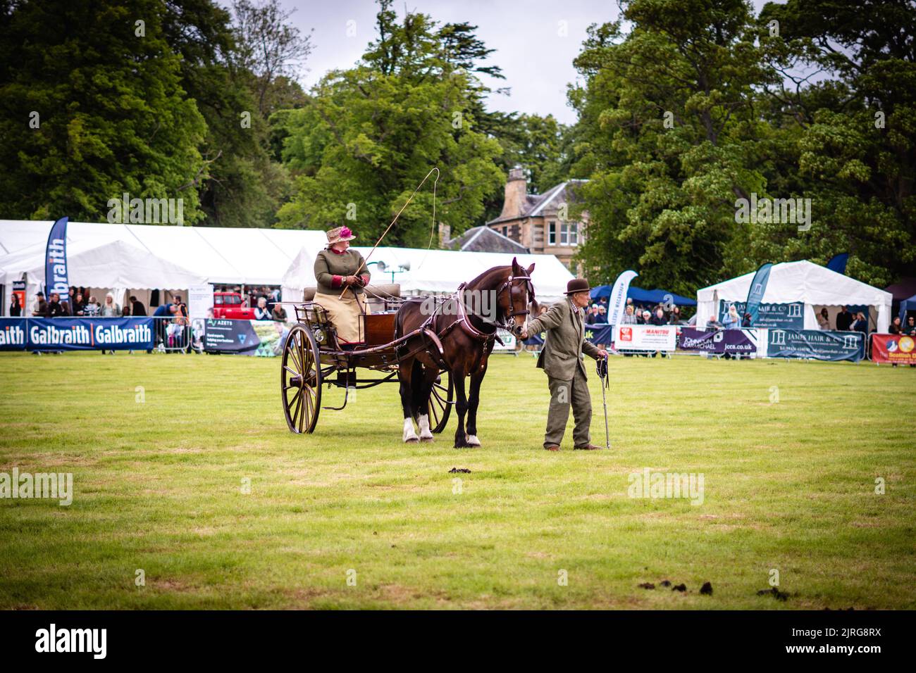 Le peuple et un cheval avec une calèche lors d'un spectacle agricole Banque D'Images