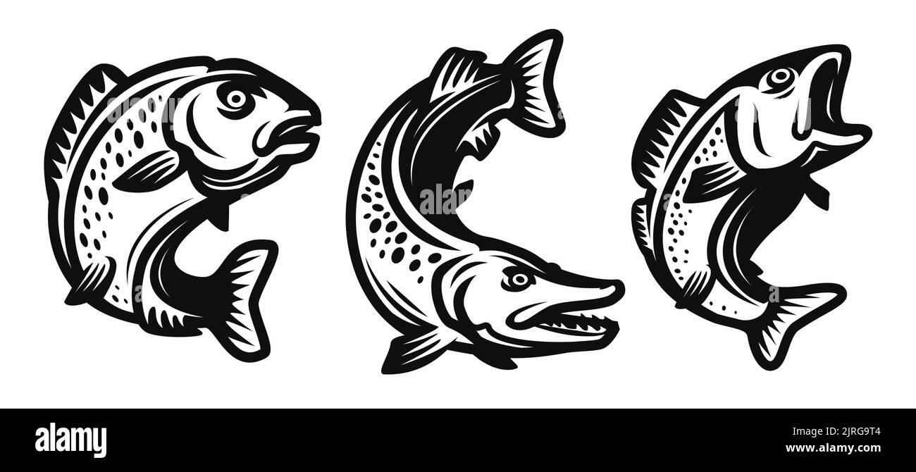 Ensemble de poissons. Symbole de pêche. Carpe, brochet, perch dessiné dans le style noir monochrome décoratif. Illustration vectorielle isolée Illustration de Vecteur