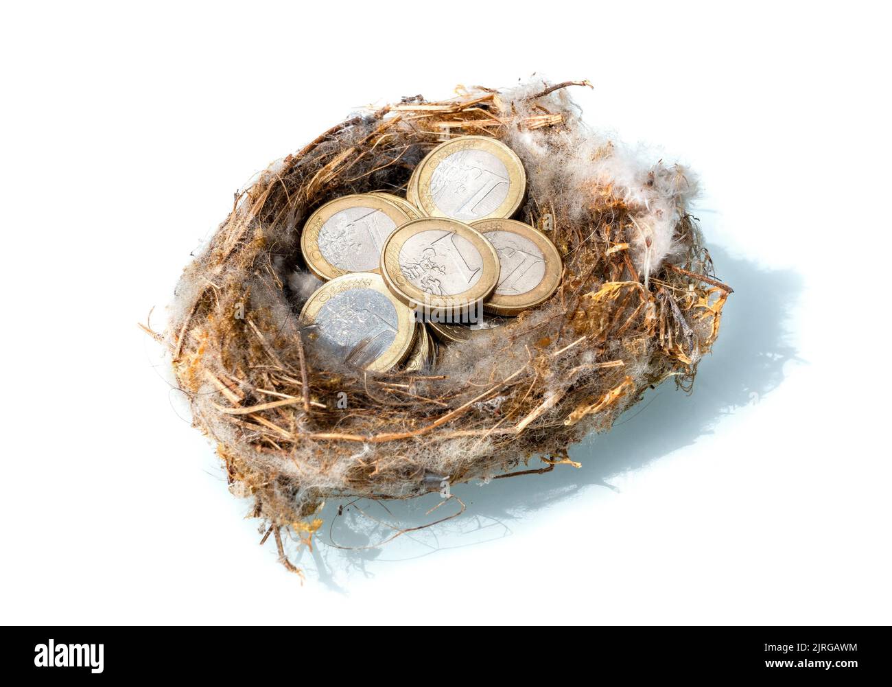Une pièce de monnaie d'un euro empilée dans le nid d'oiseaux Banque D'Images
