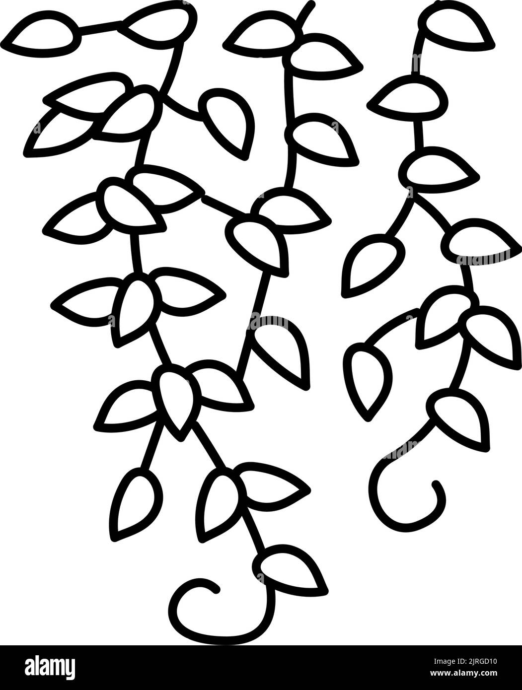 illustration vectorielle d'icône de branche de croissance liana Illustration de Vecteur