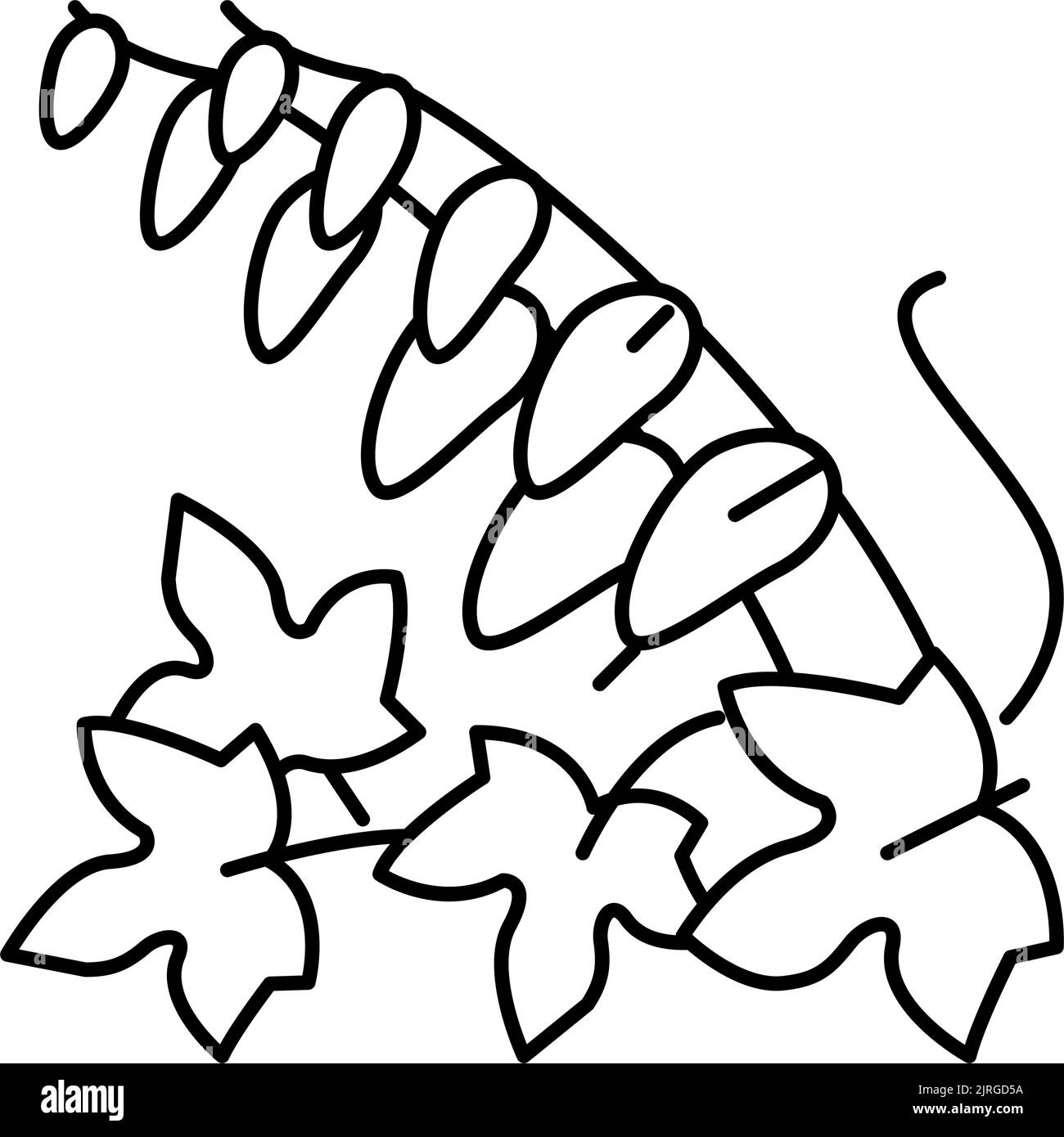 illustration vectorielle de l'icône de la vigne de firecracker Illustration de Vecteur