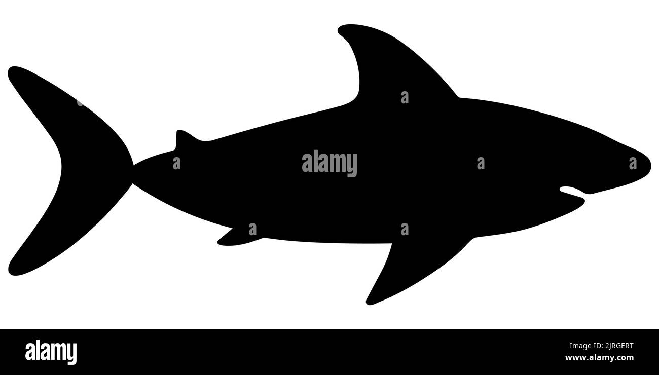 Requin. Silhouette. Illustration du stock vectoriel. Arrière-plan blanc isolé. Grands poissons de mer prédateurs. Style plat. Monstre sous-marin avec une mâchoire en terre cuite. Illustration de Vecteur