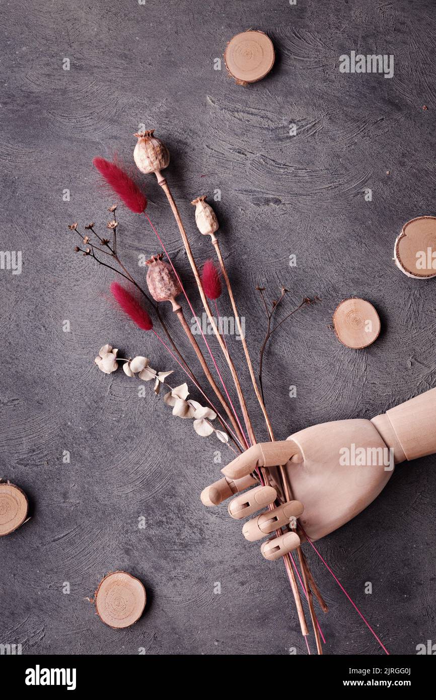 Arrière-plan d'automne avec des plantes sèches en bois main, modèle artistique en bois main. Coquelicot et lapin plantes de queue avec l'eucalyptus sec et des cercles en bois. Haut Banque D'Images