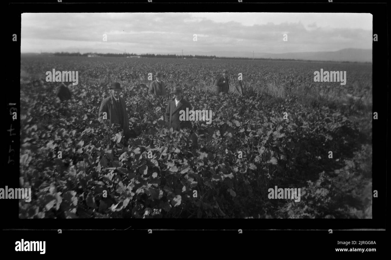 Scenes on Makurerua Swamp, 22 avril 1931, par Leslie Adkin. Banque D'Images