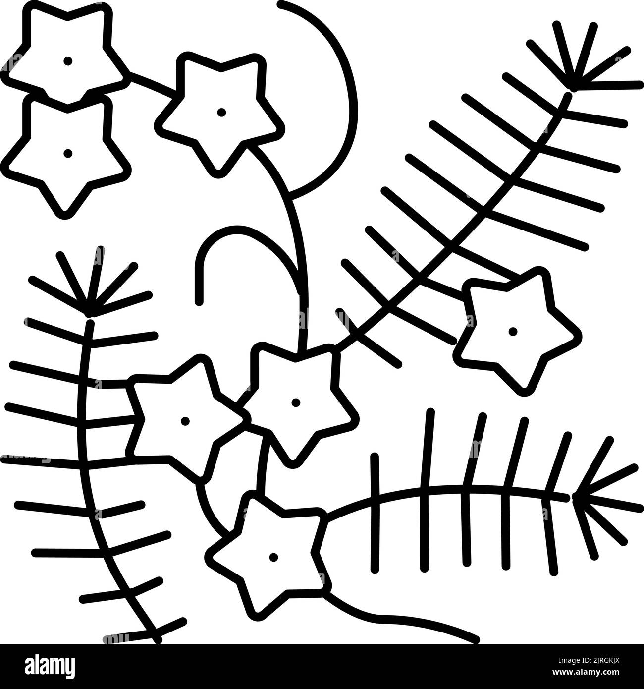 illustration vectorielle de l'icône de la ligne de liana cypress Illustration de Vecteur