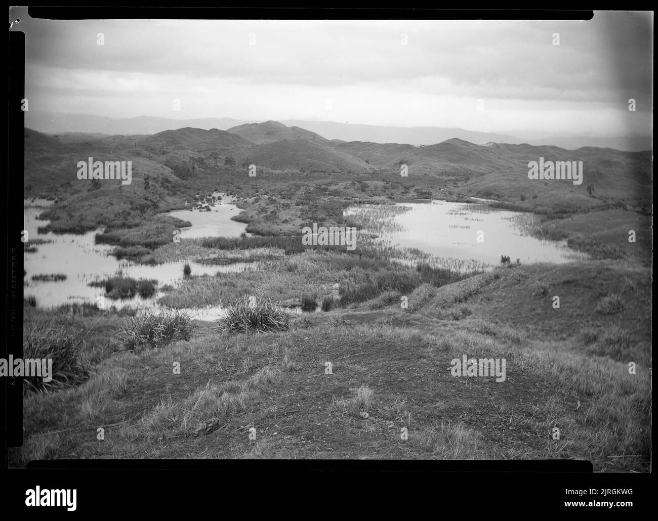 Lagunes près de Pakipaki Bush - 1929, 1929, par Leslie Adkin. Don de la famille G. L. Adkin, 1964. Banque D'Images