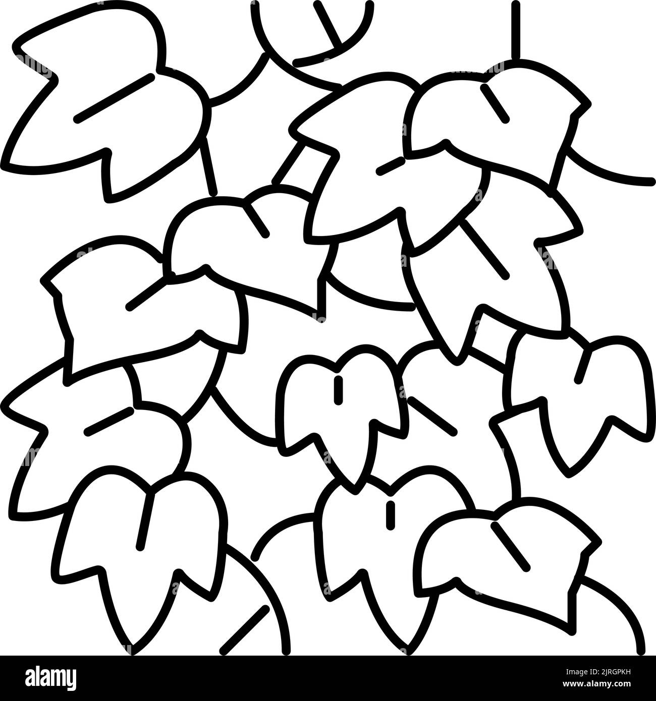 illustration vectorielle de l'icône de ligne de lierre en anglais Illustration de Vecteur