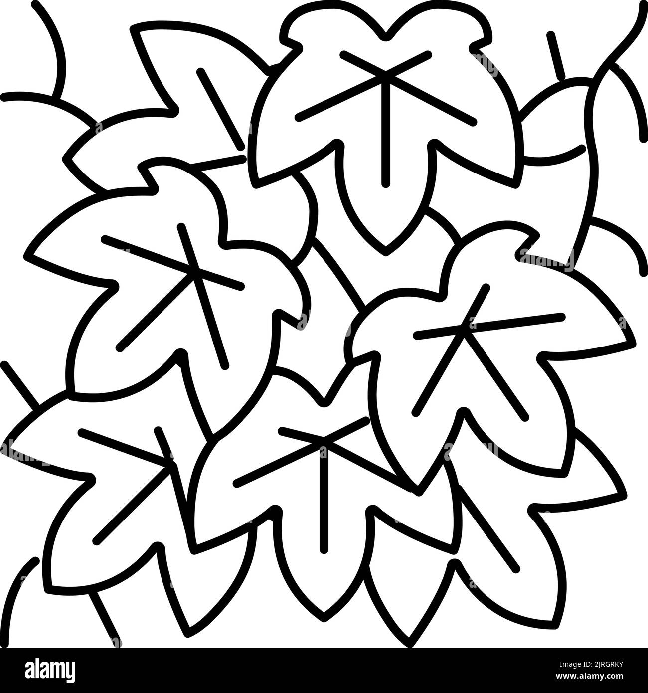 illustration vectorielle de l'icône boston ivy line Illustration de Vecteur