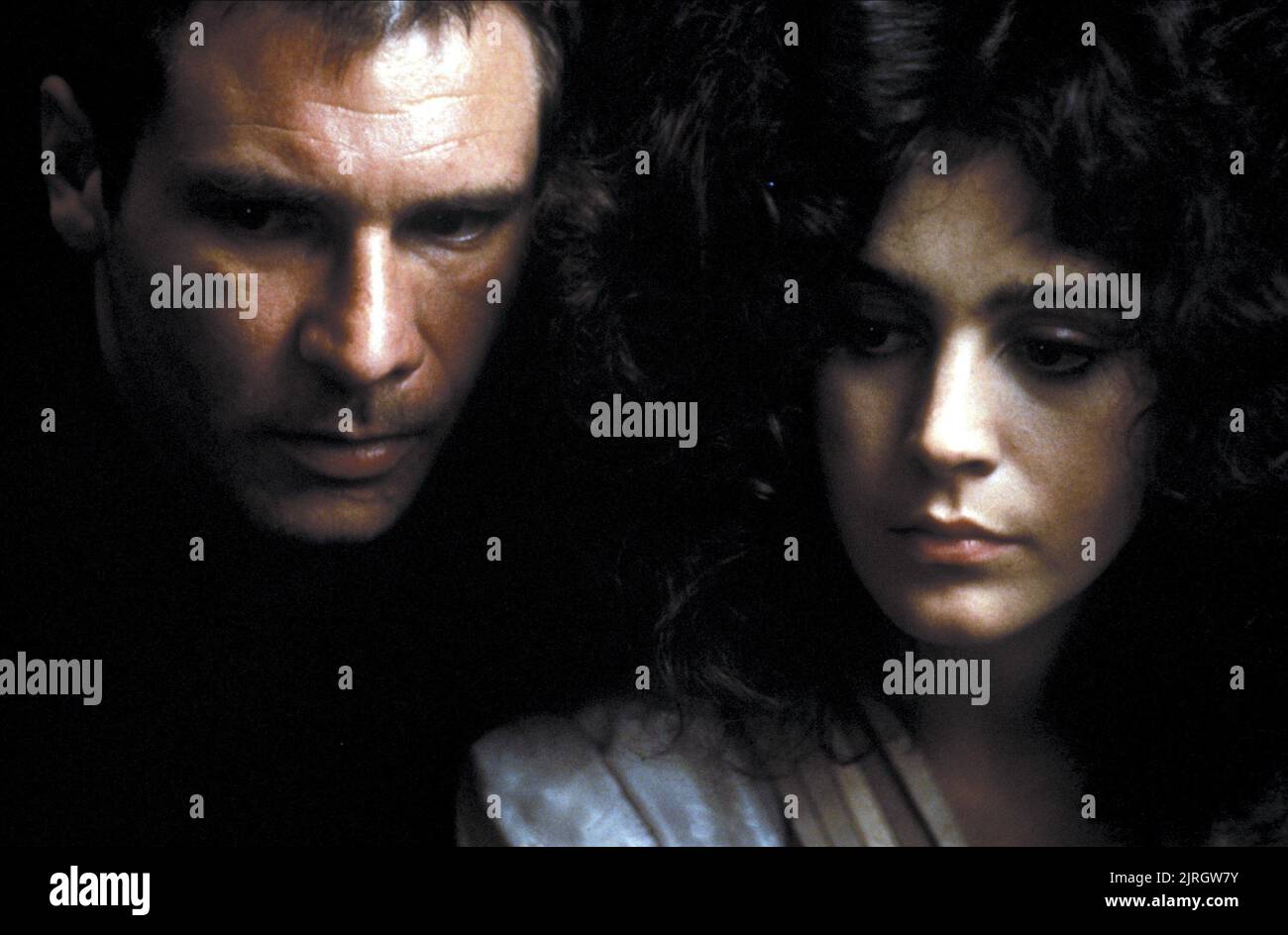 HARRISON FORD, SEAN YOUNG, Blade Runner, 1982 Banque D'Images